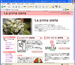 �q�[�����O�E�A�[�e�B�t�B�V�����t�����[ ���E�v���}�X�e��